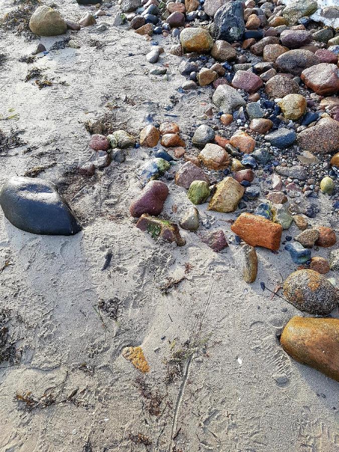 Strandappartement Steinberghaff "Farborg" Mit Meerblick ساينبرغ المظهر الخارجي الصورة