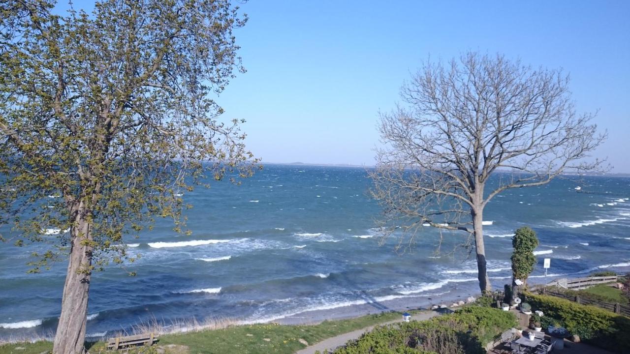 Strandappartement Steinberghaff "Farborg" Mit Meerblick ساينبرغ المظهر الخارجي الصورة